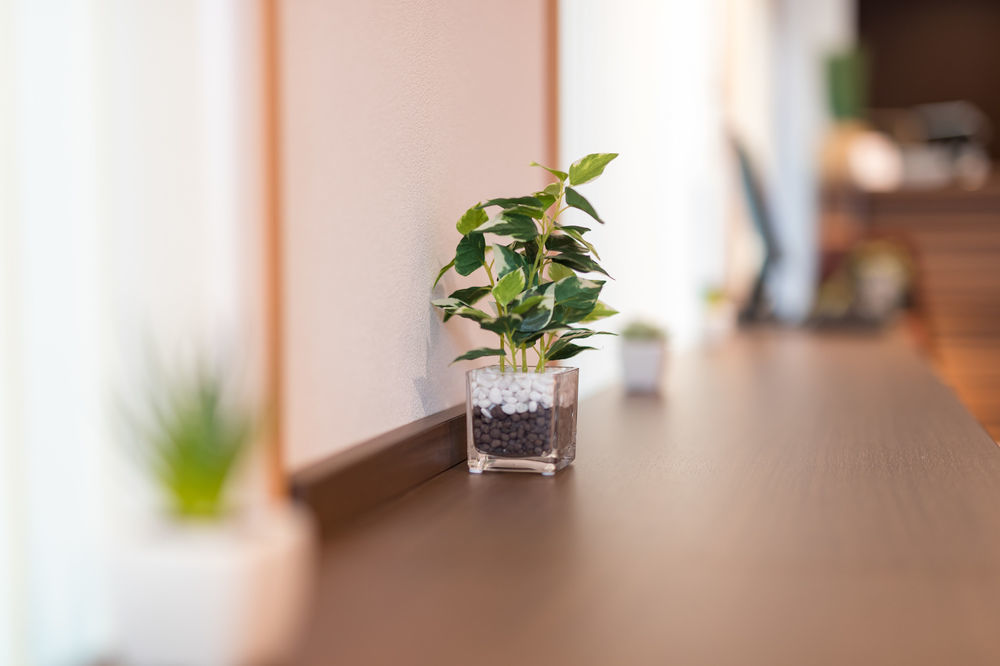 Simple Stay Kanon Nanba Minami Osaka Exterior foto